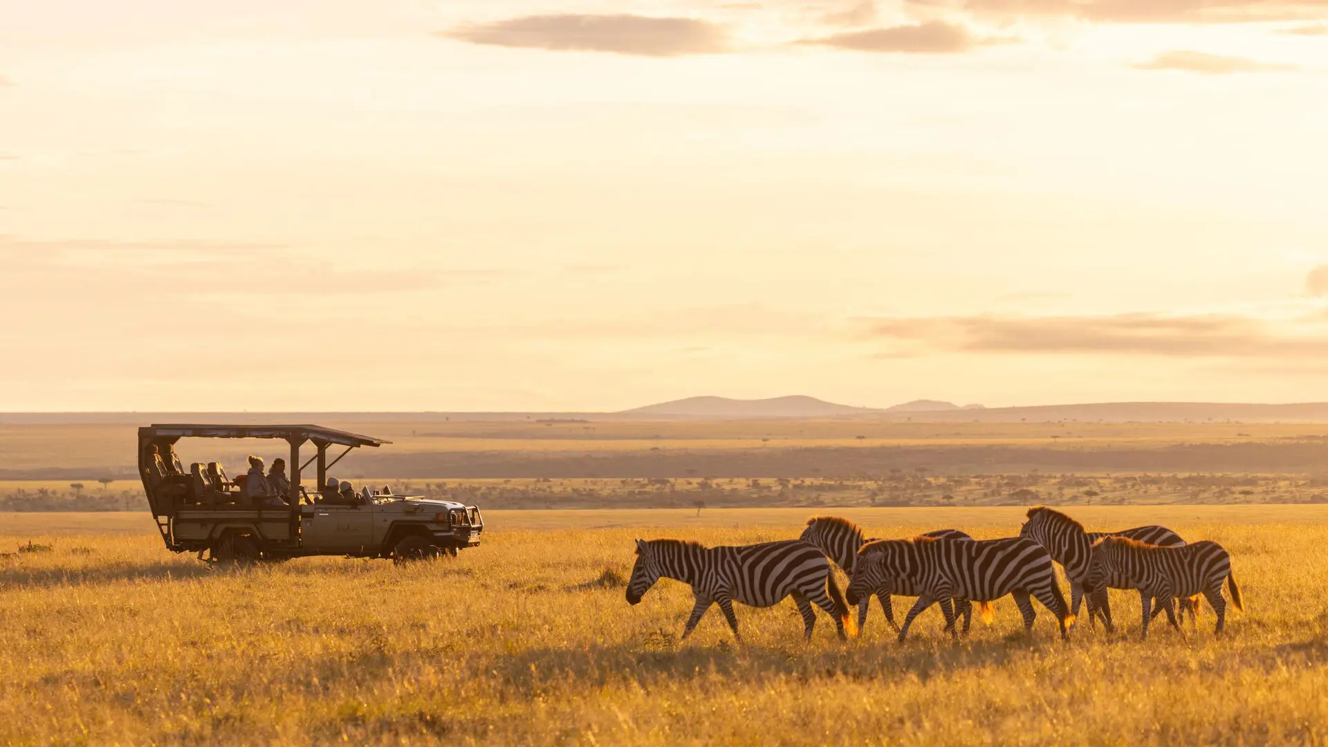 Safari game drive vehicle with zebra at sunset