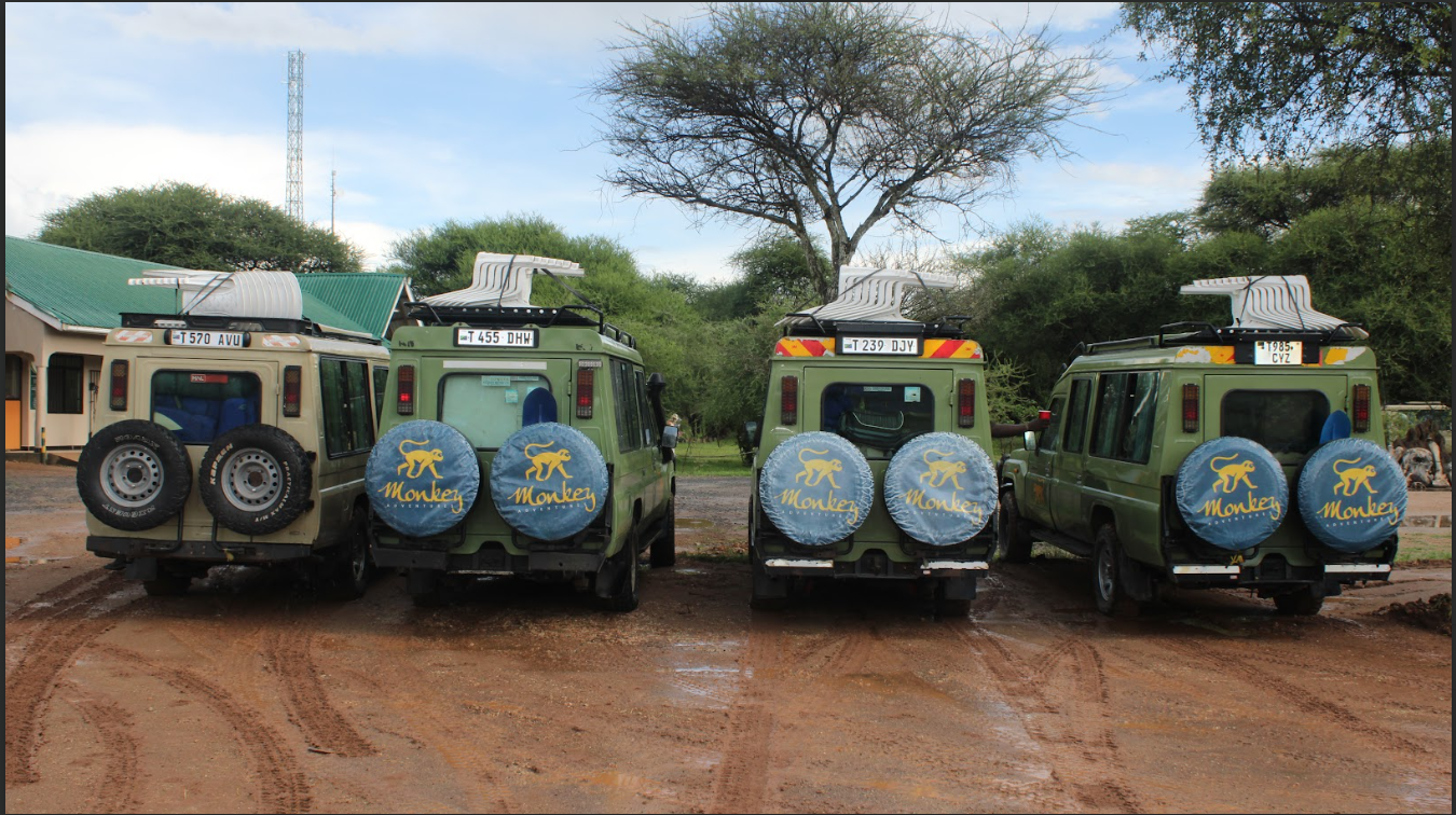 Fleet of safari vehicles ready for game drives